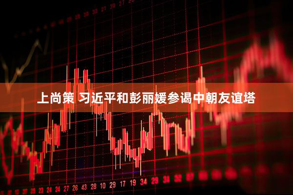 上尚策 习近平和彭丽媛参谒中朝友谊塔