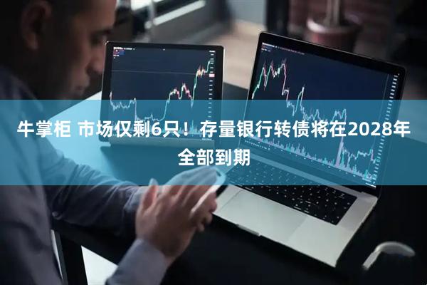 牛掌柜 市场仅剩6只！存量银行转债将在2028年全部到期