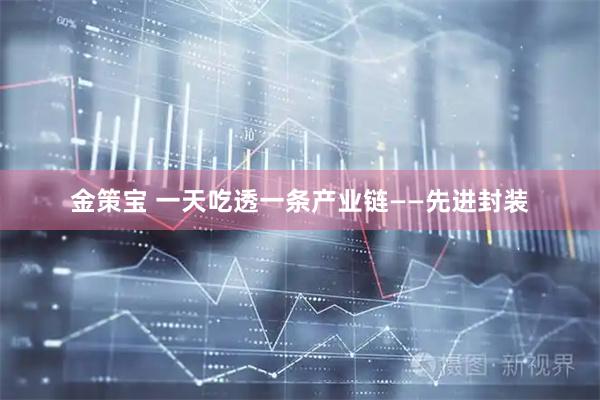 金策宝 一天吃透一条产业链——先进封装