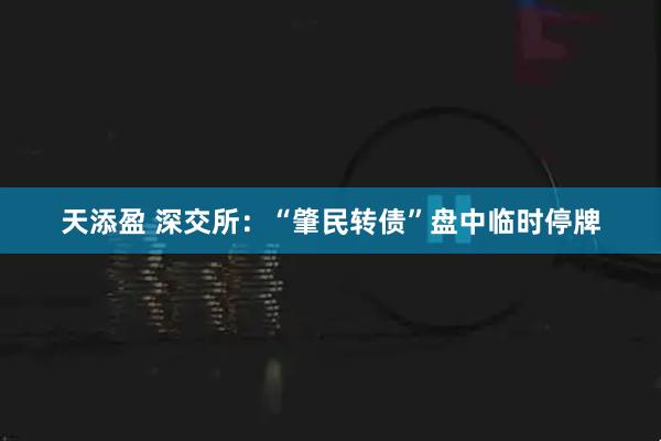 天添盈 深交所：“肇民转债”盘中临时停牌