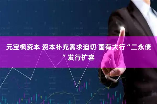 元宝枫资本 资本补充需求迫切 国有大行“二永债”发行扩容